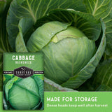 Survival Garden Seeds Cabbage Brunswick heirloom seeds, featuring a close-up photo of a fresh green cabbage with water droplets, a product label, and a green banner that reads 'MADE FOR STORAGE'.