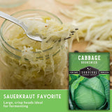 Fermented sauerkraut in a glass jar with a fork, alongside a seed packet labeled 'Cabbage Brunswick' and text reading 'Sauerkraut Favorite.'.