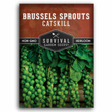 Brussels sprouts seed packet with 'Survival Garden Seeds' branding on a white background