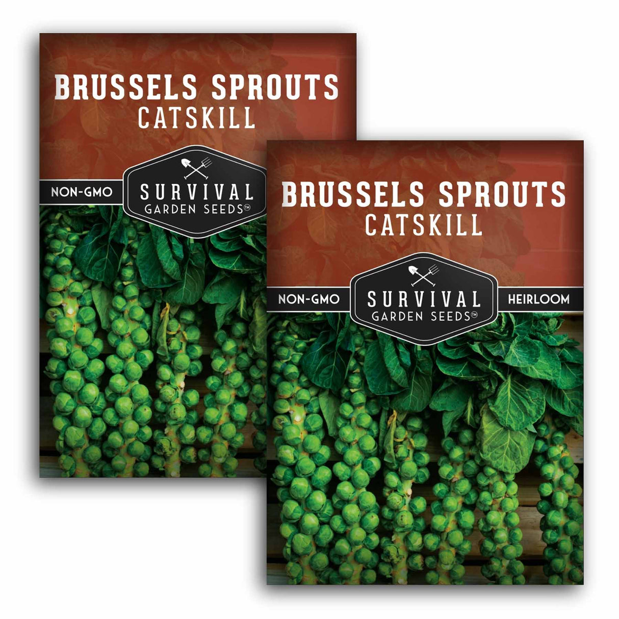 Two packages of Survival Garden Seeds Brussels Sprouts Catskill on a white background