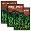Three packages of Survival Garden Seeds Brussels Sprouts on a white background