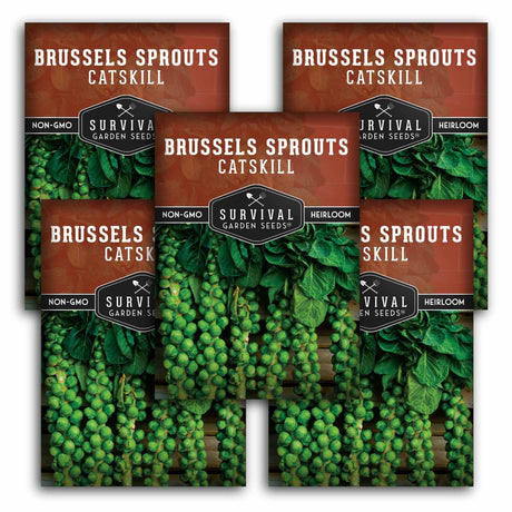 Three packages of Survival Garden Seeds Brussels Sprouts Catskill on a white background