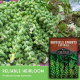 Brussels sprouts with a label for Survival Garden Seeds on a green background