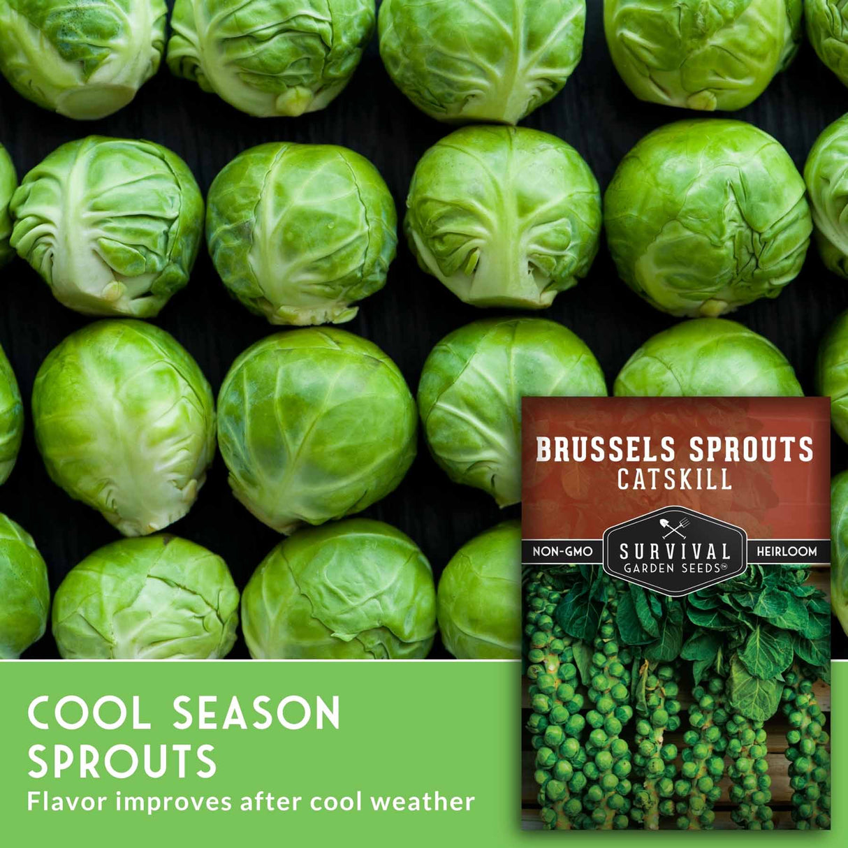 Brussels sprouts with a seed packet labeled 'Catskill' on a black background