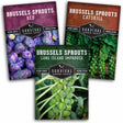 Three packets of Survival Garden Seeds Brussels Sprouts on a white background