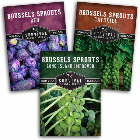 Three packets of Survival Garden Seeds Brussels Sprouts on a white background
