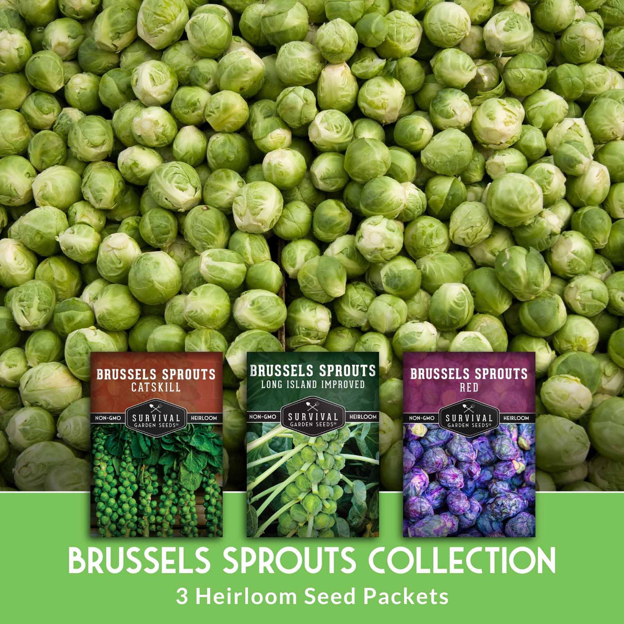 Brussels sprouts seed packets with a pile of green Brussels sprouts in the background.