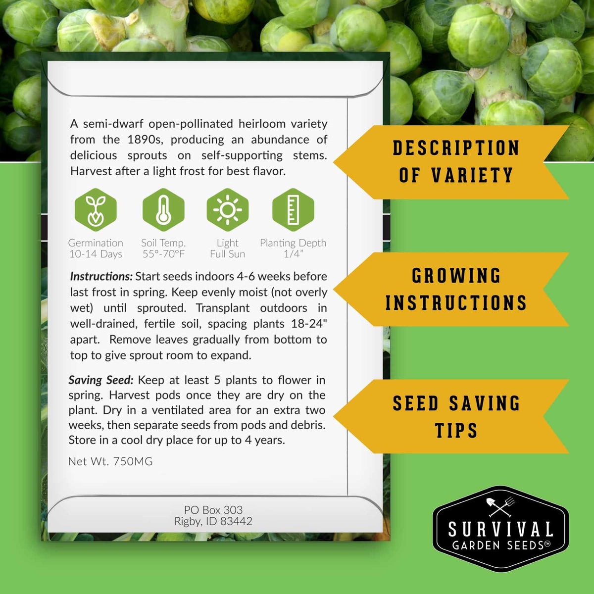A product information card for a semi-dwarf open-pollinated heirloom variety of sprouts from Survival Garden Seeds, set against a background of green sprouts. The card outlines variety description, growing instructions, seed saving, and provides contact information and the Survival Garden Seeds logo.