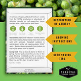 A product information card for a semi-dwarf open-pollinated heirloom variety of sprouts from Survival Garden Seeds, set against a background of green sprouts. The card outlines variety description, growing instructions, seed saving, and provides contact information and the Survival Garden Seeds logo.