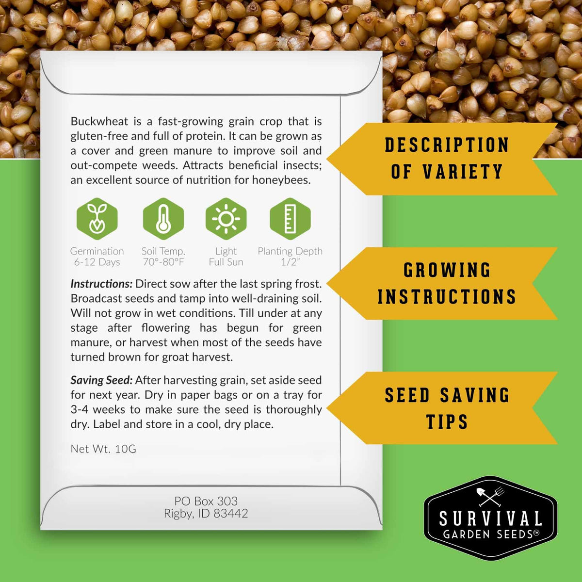 An informational poster for Buckwheat seeds from Survival Garden Seeds, featuring a white card with text, icons, and growing instructions, set against a background of brown buckwheat grains with green and yellow graphic banners.