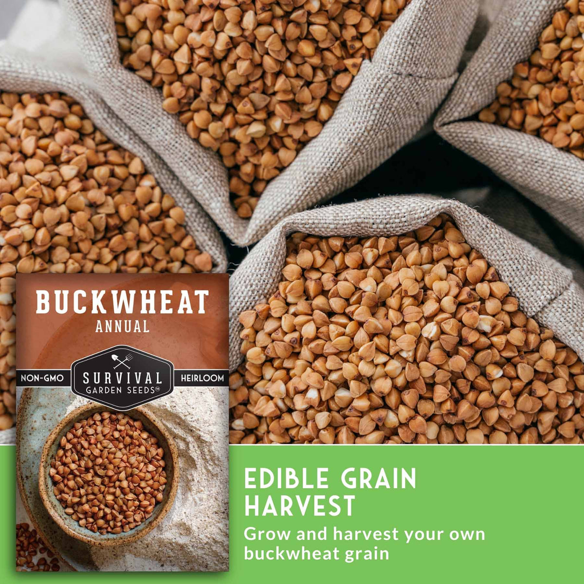 Buckwheat annual seed packet by Survival Garden Seeds shown over a photo of loose buckwheat grains in burlap sacks, with text reading 'EDIBLE GRAIN HARVEST'.