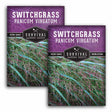 Two packages of Survival Garden Seeds Switchgrass on a white background