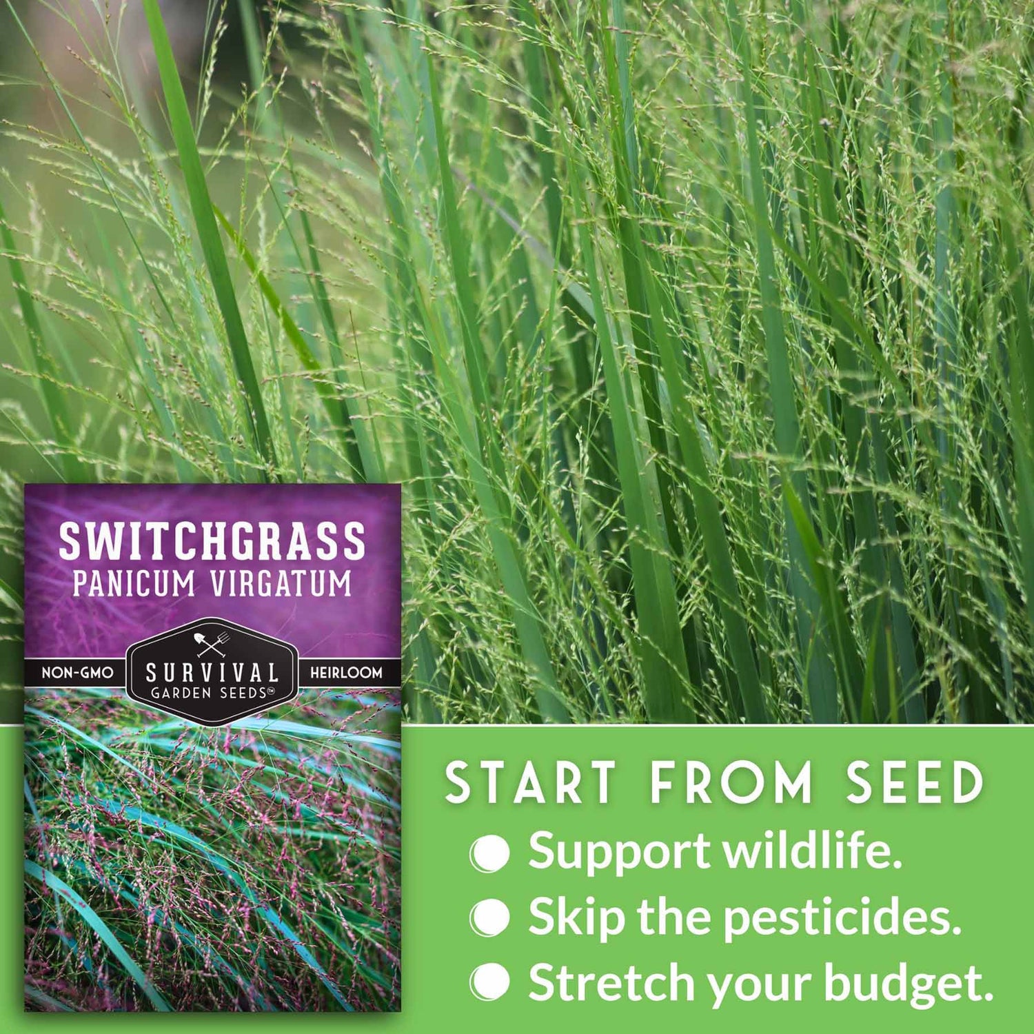 Survival Garden Seeds Switchgrass seed packet with green grass background