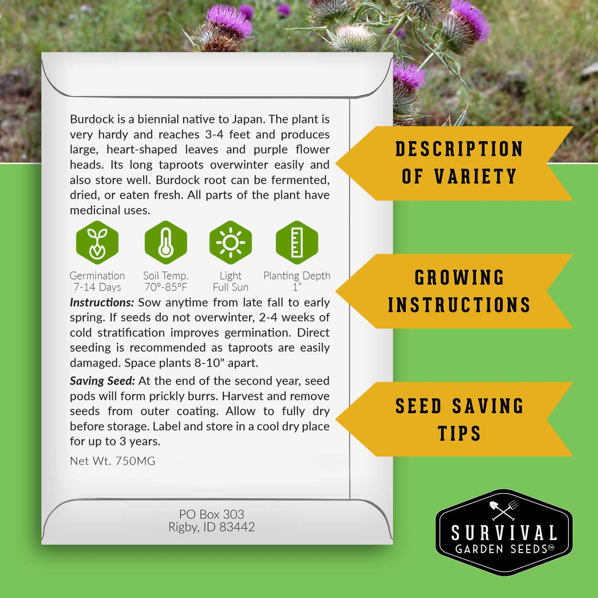 Burdock seed packet with growing instructions and survival garden seeds branding