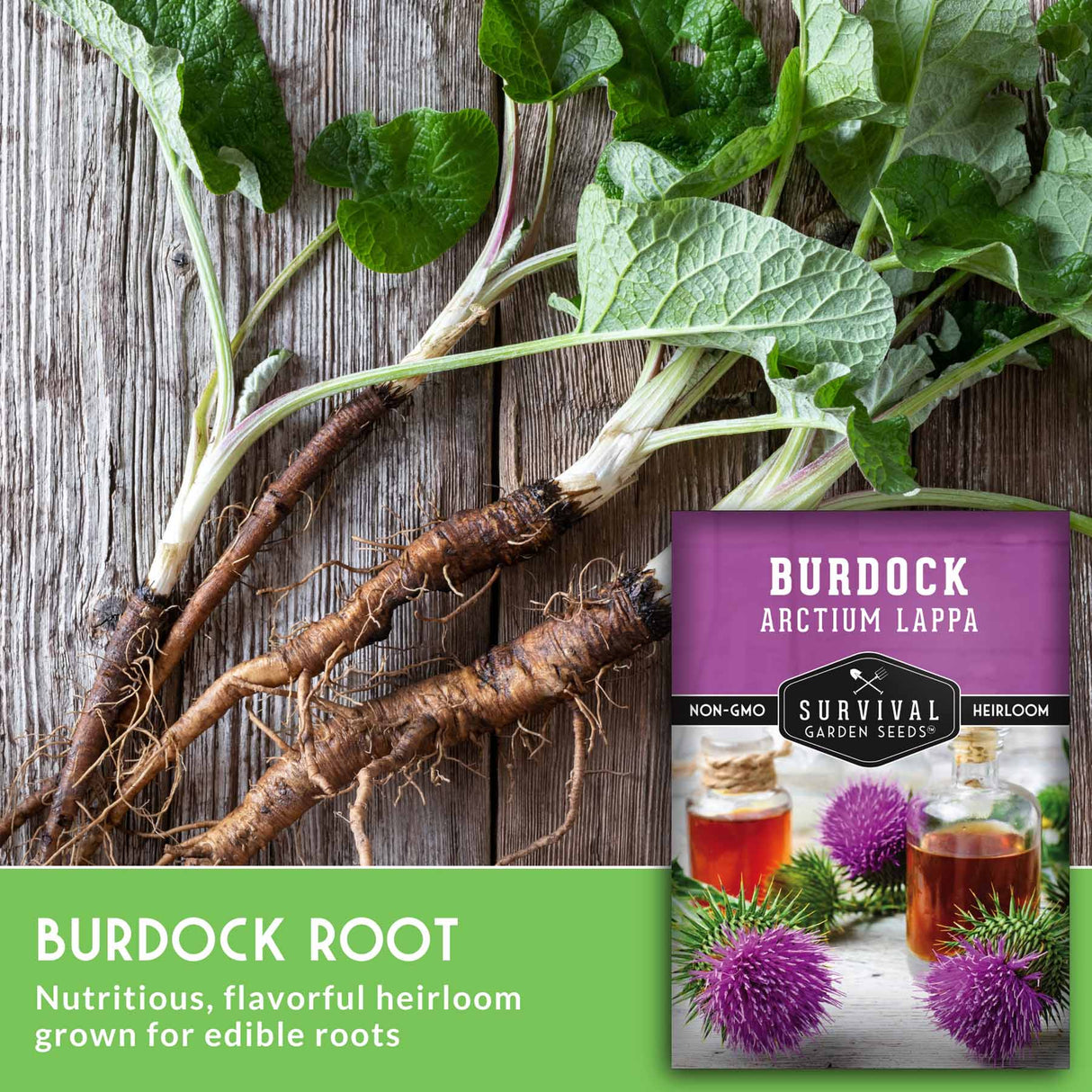 Burdock root with a package labeled 'Survival Garden Seeds' on a wooden background