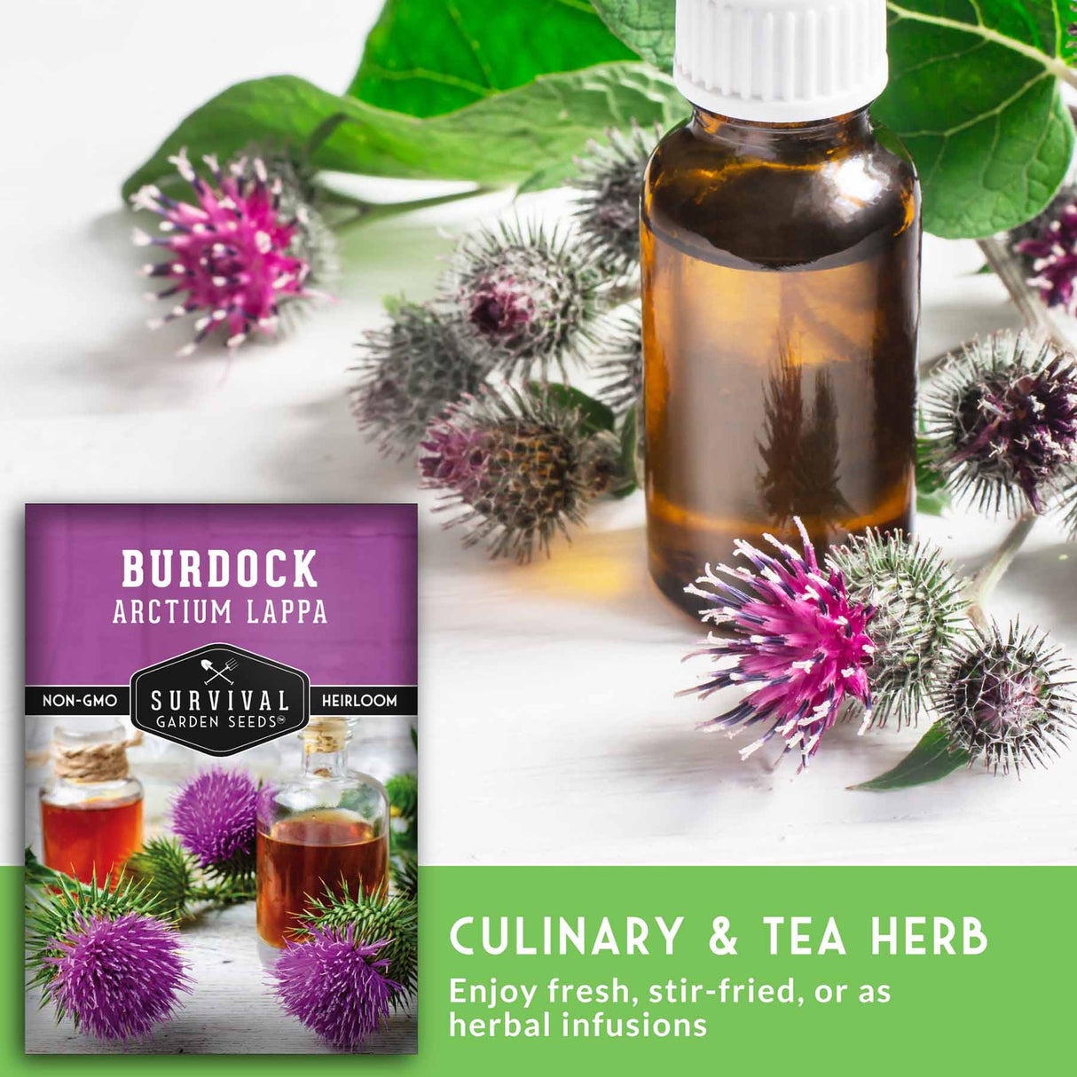 Burdock herb packaging with a bottle of liquid and burdock flowers on a white background