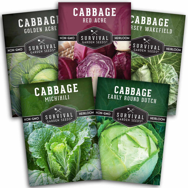 Cabbage Seed Collection - 5 packets of heirloom cabbage seeds
