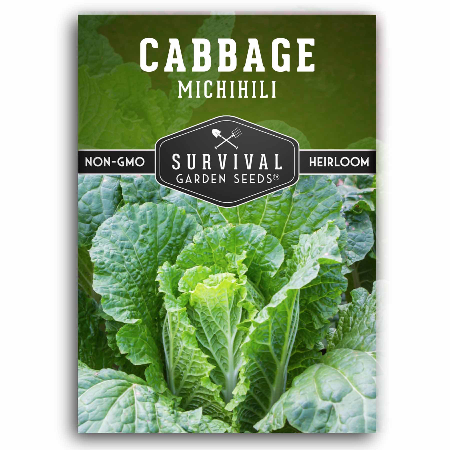 Michihili Napa Cabbage Seeds - Chinese Heirloom Variety