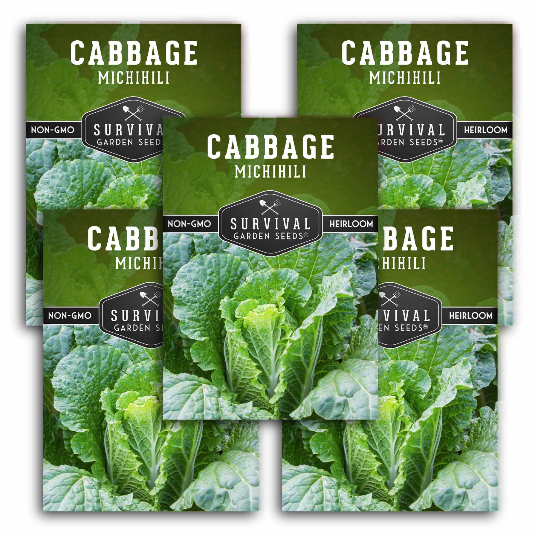 野菜 Michi Michihili Napa Cabbage Seeds - Chinese Heirloom Variety