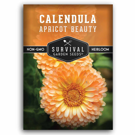 Survival Garden Seeds Calendula Apricot Beauty packaging with a calendula flower on an orange background.