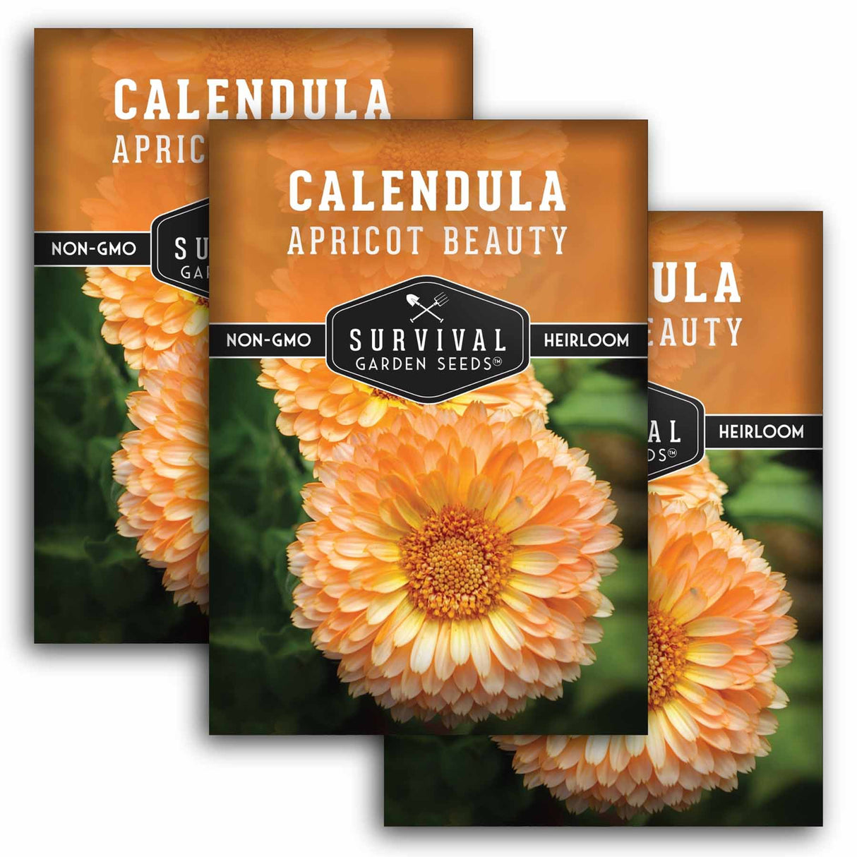 Three packages of Survival Garden Seeds Calendula Apricot Beauty with a close-up of the flower.