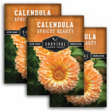 Three packages of Survival Garden Seeds Calendula Apricot Beauty with a close-up of the flower.