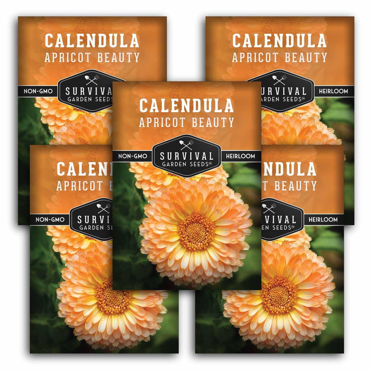 Five packages of Survival Garden Seeds Calendula Apricot Beauty on a white background