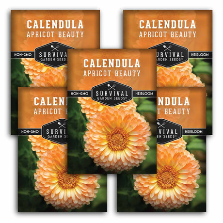 Five packages of Survival Garden Seeds Calendula Apricot Beauty on a white background