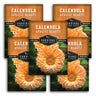 Five packages of Survival Garden Seeds Calendula Apricot Beauty on a white background