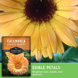 Yellow flower with water droplets and a seed packet labeled 'Calendula Apricot Beauty' on a green background.
