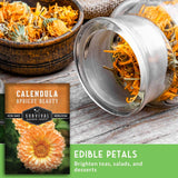 Dried calendula flowers in a glass jar with a seed packet labeled 'Calendula Apricot Beauty' on a wooden surface.