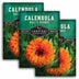Three packages of Calendula seeds with orange flowers on a white background