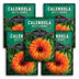 Five packages of Survival Garden Seeds Calendula Ball's Orange with images of calendula flowers.