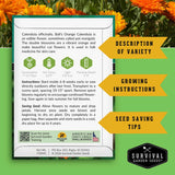 Survival Garden Seeds packaging with Calendula officinalis information on a green background with marigold flowers.