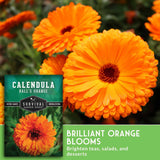 Calendula seeds packet with bright orange flowers in the background