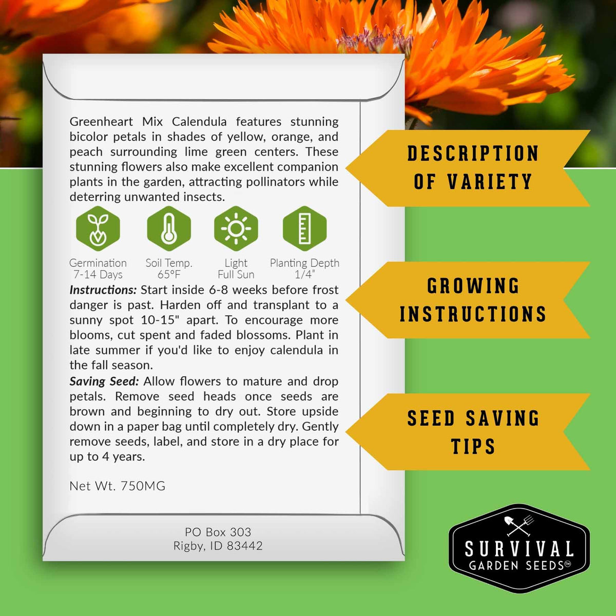 A product information card for Survival Garden Seeds' Greenheart Calenda variety, showing growing instructions, seed saving tips, and variety description on a green background with orange flowers.