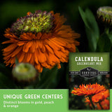 A close-up of an orange calendula flower with a green heart-shaped center, alongside a seed packet labeled 'Calendula Greenheart Mix' and marketing text about unique green centers and gold, peach, and orange blooms.