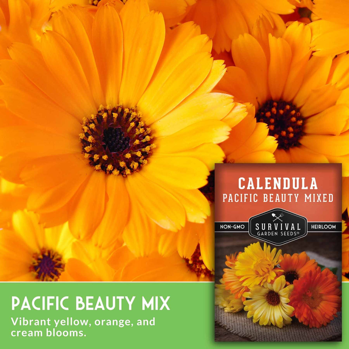 Calendula seeds packet with vibrant yellow flowers in the background