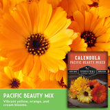Calendula seeds packet with vibrant yellow flowers in the background