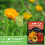 Calendula seeds packet with a butterfly on a calendula flower, set against a blurred garden background.