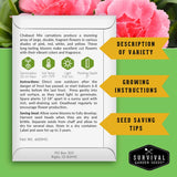 A printed card about chabaud mix carnations with flower color, growth icons, planting instructions, and seed-saving tips, shown over a green and pink floral background with yellow arrows labeled 'Description of Variety,' 'Growing Instructions,' and 'Seed Saving Tips.' A Survival Garden Seeds logo appears at bottom right.