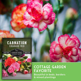 Seed packet for Carnation Chabaud Mix by Survival Garden Seeds, shown over a background of blooming pink and orange carnations, with a green banner reading 'COTTAGE GARDEN FAVORITE'.