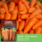 A close-up pile of bright orange Chantenay carrots with a product inset showing a carrot seed packet labeled 'Carrot Chantenay Royal' and text reading 'Short, Thick Roots' and 'Uniform 5-6 inch Chantenay carrots.'.