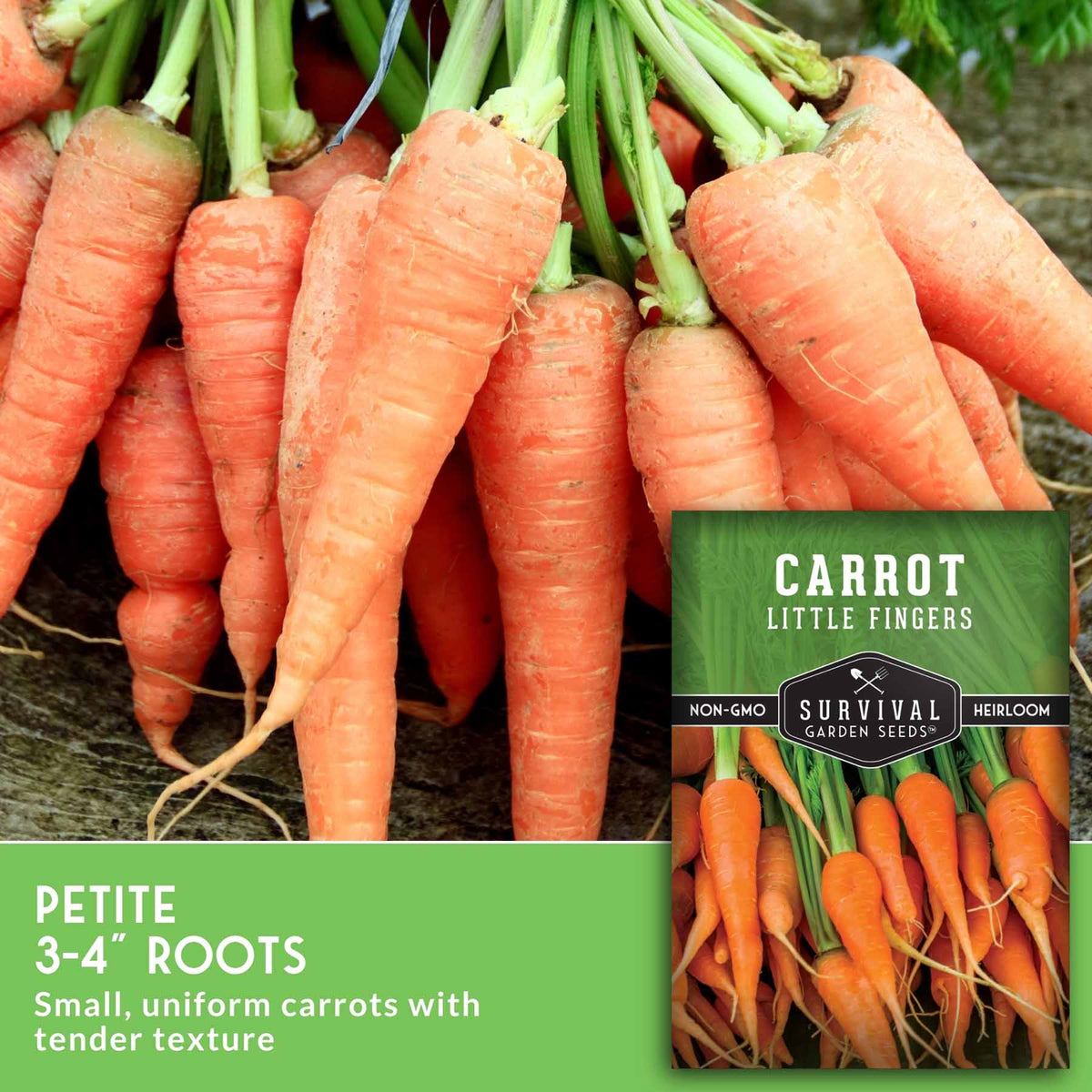 A close-up of freshly harvested orange carrots with green tops, alongside a seed packet labeled 'Carrot Little Fingers' and text reading 'Petite 3-4" roots' and 'Small, uniform carrots with tender texture.'.