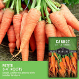 A close-up of freshly harvested orange carrots with green tops, alongside a seed packet labeled 'Carrot Little Fingers' and text reading 'Petite 3-4" roots' and 'Small, uniform carrots with tender texture.'.