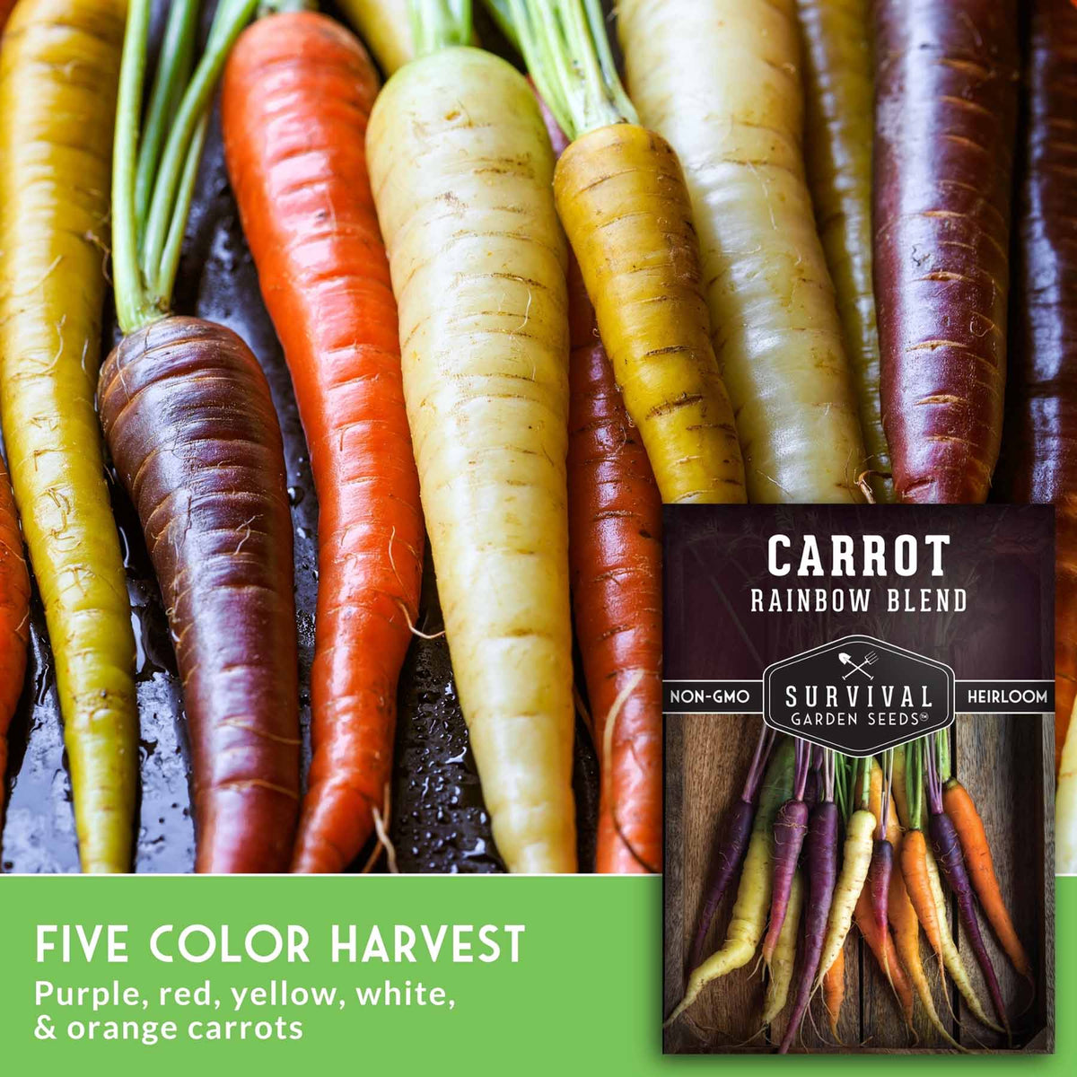 A close-up of fresh multicolored carrots on a dark surface with a seed packet inset reading 'Carrot Rainbow Blend' and text at the bottom saying 'Five Color Harvest' for purple, red, yellow, white, and orange carrots.