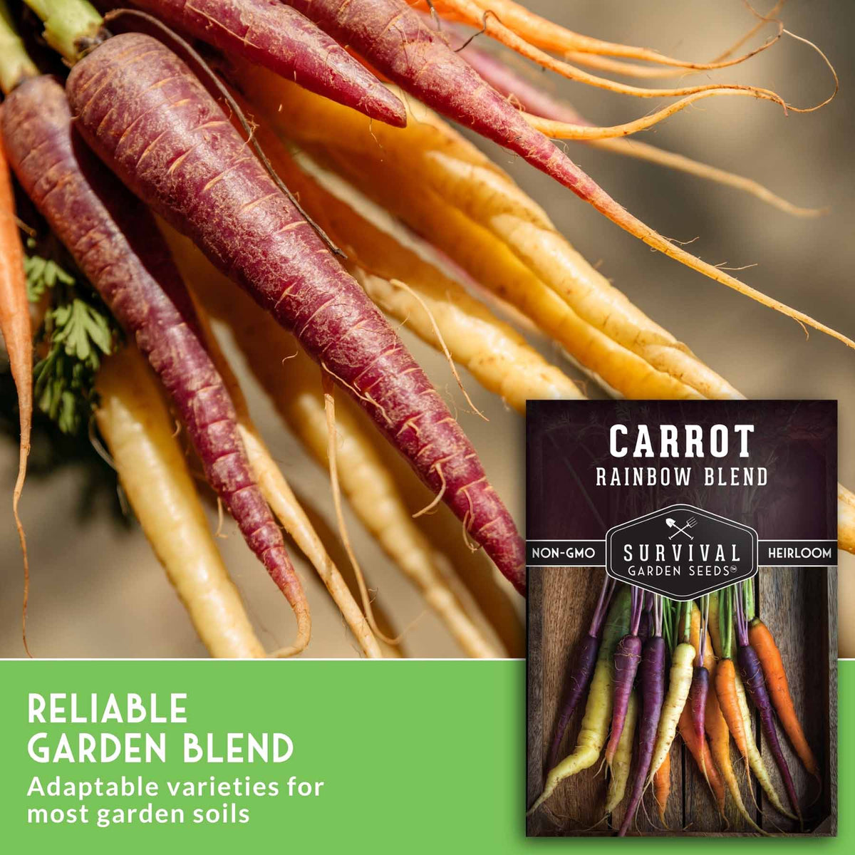 A close-up of fresh multicolored carrots with purple, orange, and cream roots, alongside a seed packet labeled 'Carrot Rainbow Blend' and a green text banner reading 'Reliable Garden Blend' and 'Adaptable varieties for most garden soils.'.