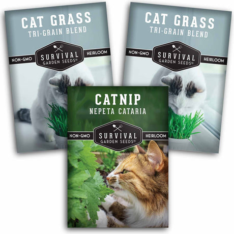 Three packages of Survival Garden Seeds cat grass and catnip products on a white background.