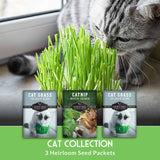 Cat grass and catnip with a cat sniffing the grass, featuring 'Carnival' brand seed packets.