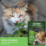 A close-up photo of a calico cat nibbling green leaves, with a seed packet labeled 'CATNIP NEPETA CATARIA' by Survival Garden Seeds shown in the lower right. A green banner at the bottom reads 'FRESH OR DRIED' and 'Harvest aromatic leaves for later use.